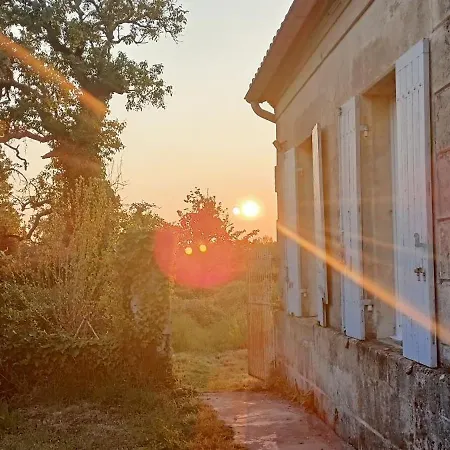 Terre D'yzan * Saint-Yzan-de-Soudiac