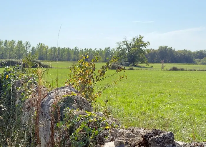 Hébergement de vacances Terre D'yzan Saint-Yzan-de-Soudiac