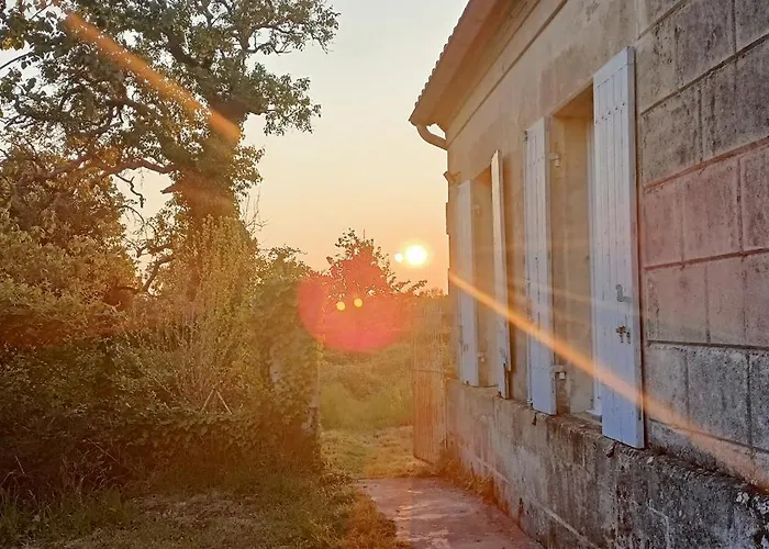 Terre D'yzan * Saint-Yzan-de-Soudiac